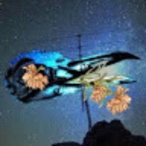 Meet your Posher, Mattie